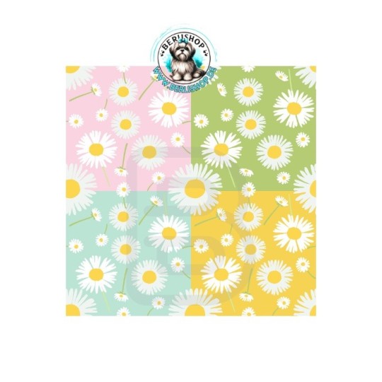 Fröhliche Gänseblümchen auf pastelligen Farbflächen in Rosa, Mint, Grün und Gelb