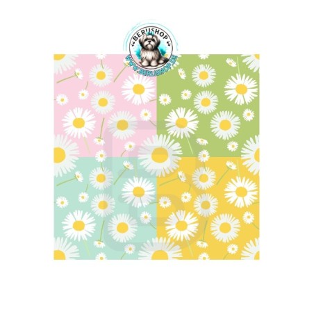 Fröhliche Gänseblümchen auf pastelligen Farbflächen in Rosa, Mint, Grün und Gelb