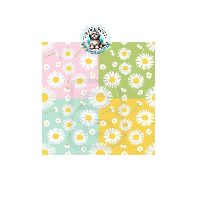 Fröhliche Gänseblümchen auf pastelligen Farbflächen in Rosa, Mint, Grün und Gelb