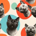 1m Coupon Baumwolle Canvas Katzen Punkte Retro Orange Stoff 153 g/m² Meterware 160 cm Eigenproduktion