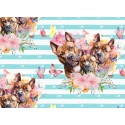 1m Coupon  Baumwolle Canvas Boxer Hunde Blumen Streifen Türkis  153 g/m² Meterware 160 cm Eigenproduktion Kinder