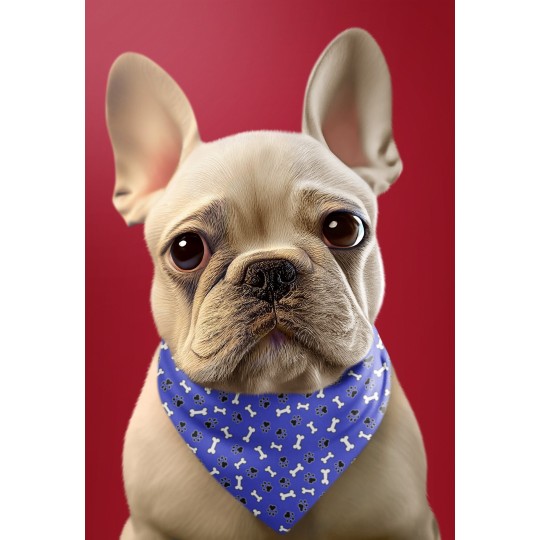 1m Coupon  Baumwolle Canvas Hund Pfoten Knochen Blau Stoff 153 g/m² Meterware 160 cm Eigenproduktion Kinder