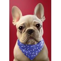 1m Coupon  Baumwolle Canvas Hund Pfoten Knochen Blau Stoff 153 g/m² Meterware 160 cm Eigenproduktion Kinder