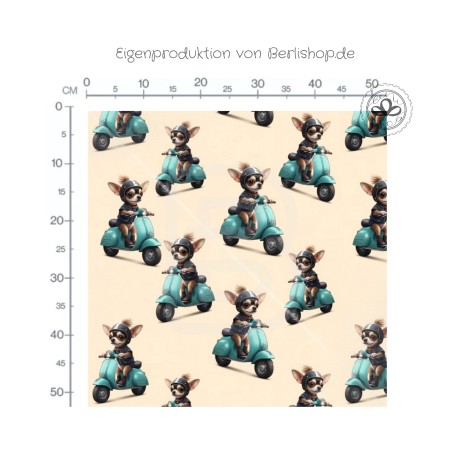 Hunde Roller Stoff – Niedlicher Chihuahua auf Scooter