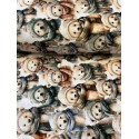 French Terry Sommersweat Weihnachtsstoff Bären mit Mützen und Schals Beige Grün Blau - 180 cm Überbreite – 240 g/m²