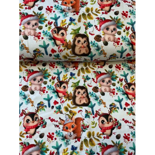 French Terry Sommersweat Weihnachtsstoff Waldtiere Eule Igel Eichhörnchen Bunt - 180 cm Überbreite – 240 g