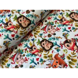 French Terry Sommersweat Weihnachtsstoff Waldtiere Eule Igel Eichhörnchen Bunt - 180 cm Überbreite – 240 g