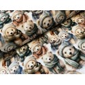 French Terry Sommersweat Weihnachtsstoff Bären mit Mützen und Schals Beige Grün Blau - 180 cm Überbreite – 240 g/m²