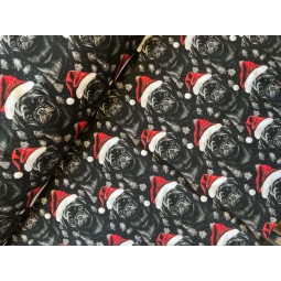 French Terry Sommersweat Kaktus Stoff 180 cm (Überbreite) – Sukkulenten & Kakteen Pastell – 240 g/m² – Kleidung & Deko