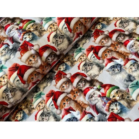 French Terry Sommersweat Weihnachtsstoff Katzen mit Nikolausmützen Rot Bunt - 180 cm Überbreite – 240 g
