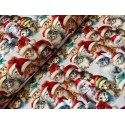 French Terry Sommersweat Weihnachtsstoff Katzen mit Nikolausmützen Rot Bunt - 180 cm Überbreite – 240 g