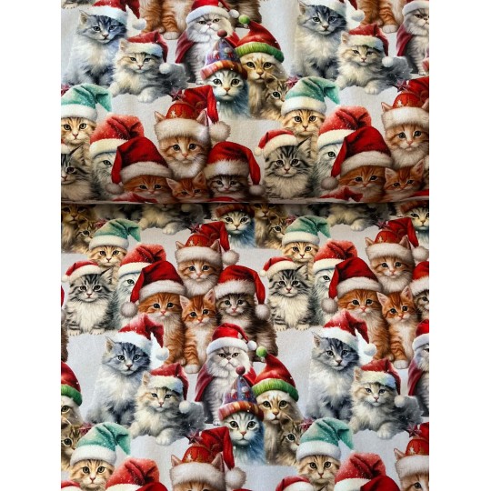 French Terry Sommersweat Weihnachtsstoff Katzen mit Nikolausmützen Rot Bunt - 180 cm Überbreite – 240 g