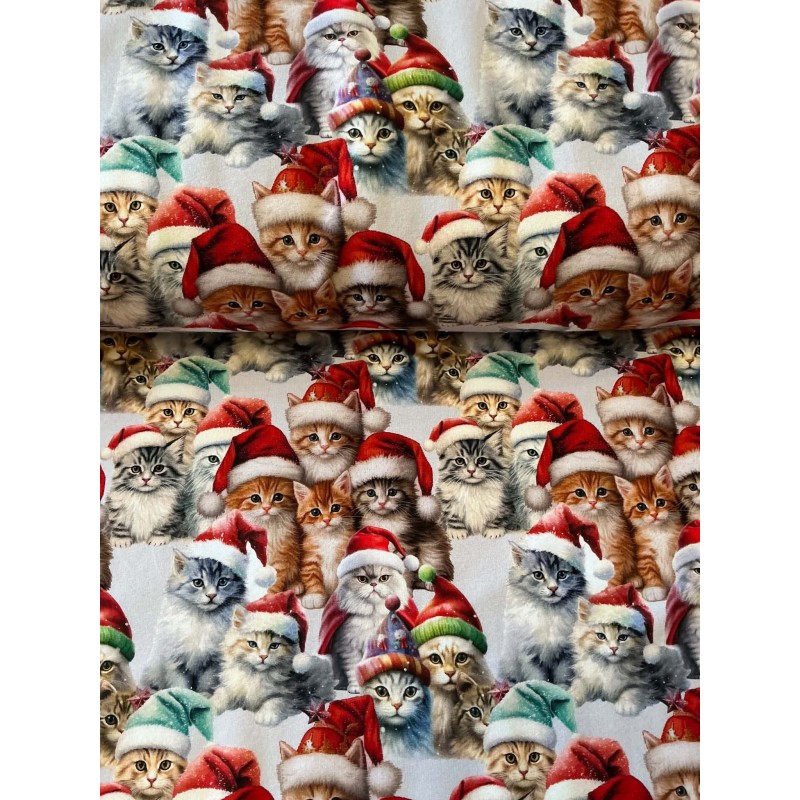 French Terry Sommersweat Weihnachtsstoff Katzen mit Nikolausmützen Rot Bunt - 180 cm Überbreite – 240 g