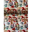 French Terry Sommersweat Weihnachtsstoff Katzen mit Nikolausmützen Rot Bunt - 180 cm Überbreite – 240 g