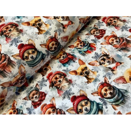 French Terry Sommersweat Weihnachtsstoff Chihuahua mit Mützen Schals Schneeflocken Bunt - 180 cm Überbreite – 240 g/m²