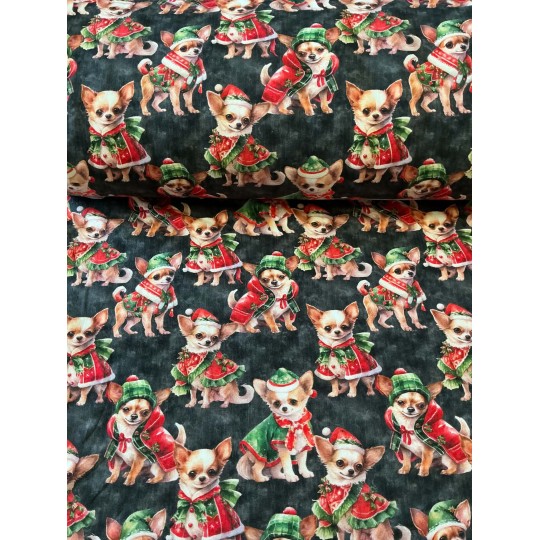 French Terry Sommersweat Weihnachtsstoff Chihuahua Weihnachtskleidung Schwarz Rot Grün - 180 cm Überbreite – 240