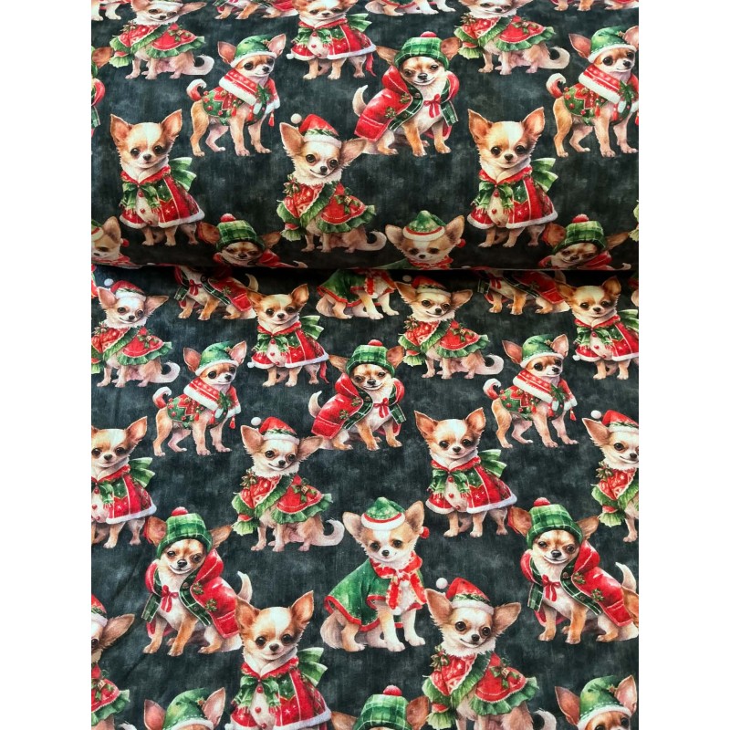 French Terry Sommersweat Weihnachtsstoff Chihuahua Weihnachtskleidung Schwarz Rot Grün - 180 cm Überbreite – 240