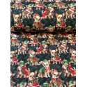 French Terry Sommersweat Weihnachtsstoff Chihuahua Weihnachtskleidung Schwarz Rot Grün - 180 cm Überbreite – 240