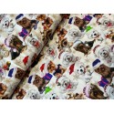 French Terry Sommersweat Weihnachtsstoff Yorkshire Terrier Malteser Hunde Creme Rot - 180 cm Überbreite – 240
