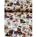 French Terry Sommersweat Weihnachtsstoff Yorkshire Terrier Malteser Hunde Creme Rot - 180 cm Überbreite – 240