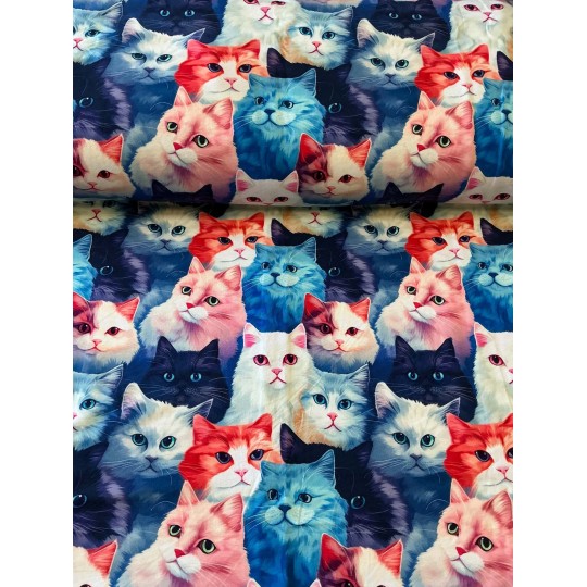 French Terry Sommersweat Katzenstoff Katzen Portraits Pop Art Blau Rosa Rot  - 180 cm Überbreite – 240g/m²