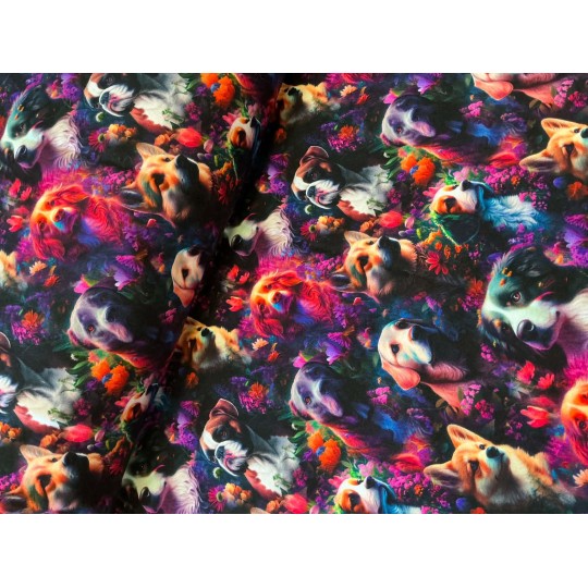 French Terry Sommersweat Hundestoff Hunderassen Blumen Regenbogen Neon Schwarz Bunt - 180 cm Überbreite – 240g/m²