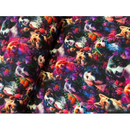 French Terry Sommersweat Hundestoff Hunderassen Blumen Regenbogen Neon Schwarz Bunt - 180 cm Überbreite – 240g/m²