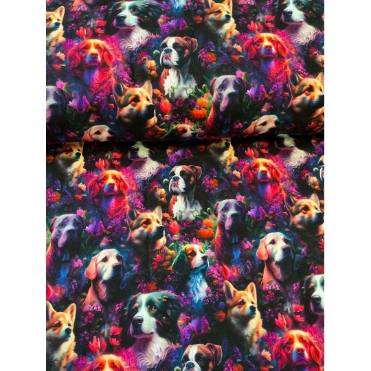 French Terry Sommersweat Hundestoff Hunderassen Blumen Regenbogen Neon Schwarz Bunt - 180 cm Überbreite – 240g/m²