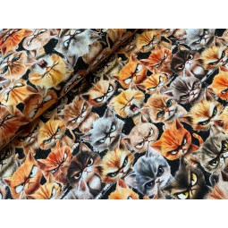 French Terry Sommersweat Katzenstoff Böse Katzen Grumpy Cats Schwarz Orange Grau - 180 cm Überbreite – 240g/m²