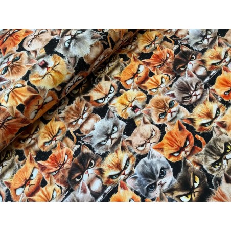 French Terry Sommersweat Katzenstoff Böse Katzen Grumpy Cats Schwarz Orange Grau - 180 cm Überbreite – 240g/m²