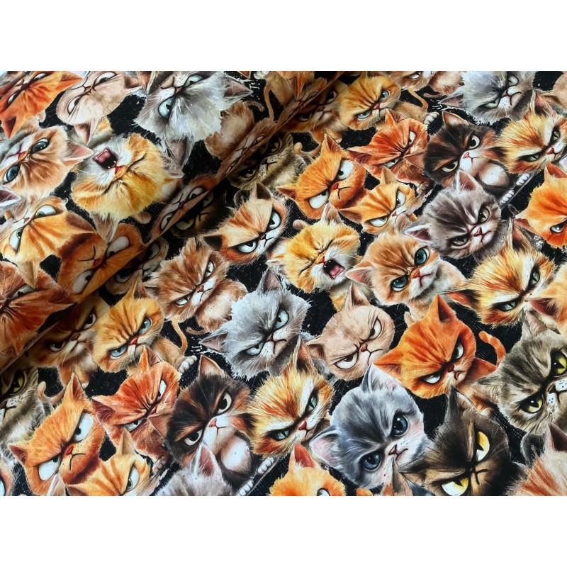 French Terry Sommersweat Katzenstoff Böse Katzen Grumpy Cats Schwarz Orange Grau - 180 cm Überbreite – 240g/m²