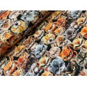 French Terry Sommersweat Katzenstoff Böse Katzen Grumpy Cats Schwarz Orange Grau - 180 cm Überbreite – 240g/m²