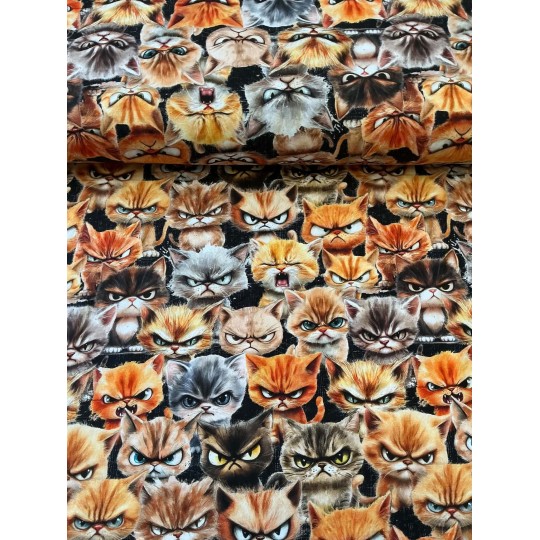 French Terry Sommersweat Katzenstoff Böse Katzen Grumpy Cats Schwarz Orange Grau - 180 cm Überbreite – 240g/m²