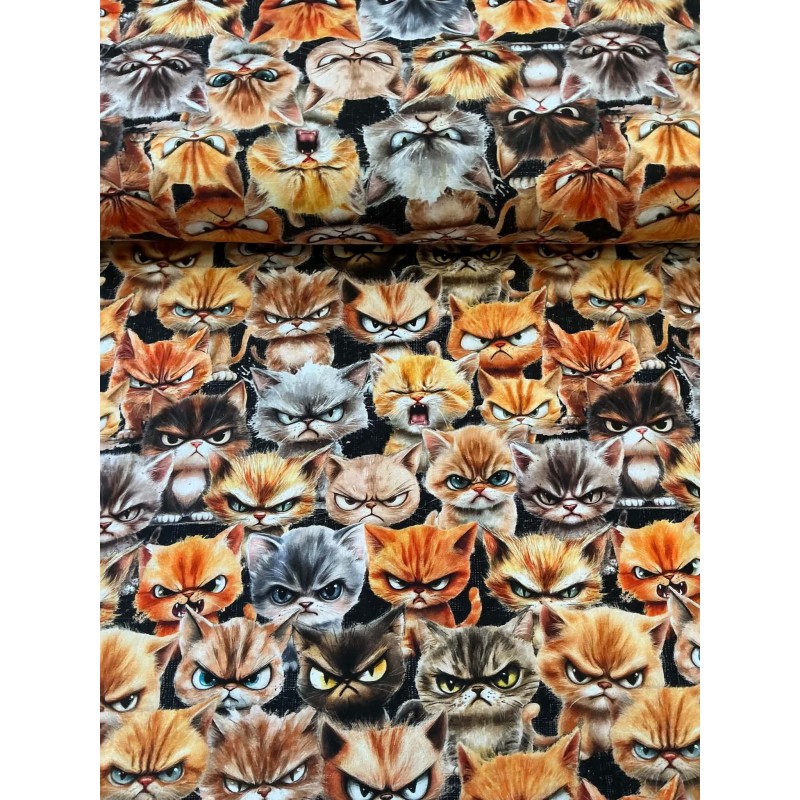 French Terry Sommersweat Katzenstoff Böse Katzen Grumpy Cats Schwarz Orange Grau - 180 cm Überbreite – 240g/m²