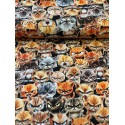 French Terry Sommersweat Katzenstoff Böse Katzen Grumpy Cats Schwarz Orange Grau - 180 cm Überbreite – 240g/m²
