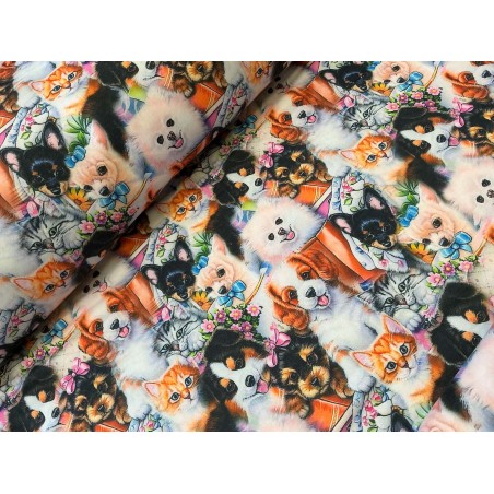 French Terry Sommersweat Hunde Katzen Stoff Welpen Kätzchen Bunt - 150 cm Überbreite – 240g/m²