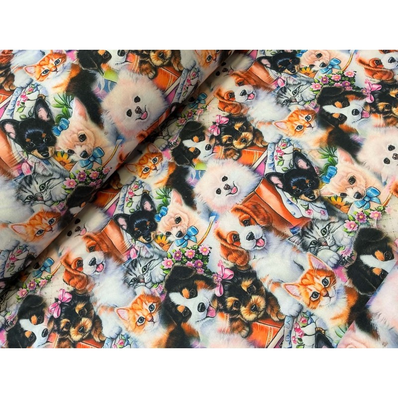 French Terry Sommersweat Hunde Katzen Stoff Welpen Kätzchen Bunt - 150 cm Überbreite – 240g/m²