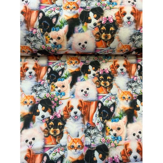 French Terry Sommersweat Hunde Katzen Stoff Welpen Kätzchen Bunt - 150 cm Überbreite – 240g/m²