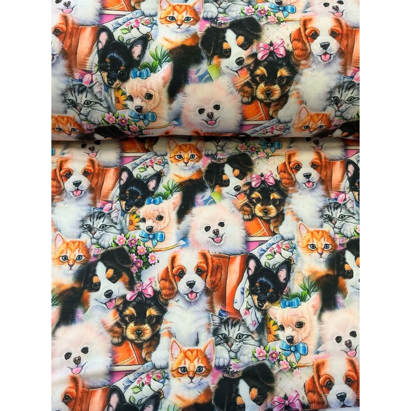 French Terry Sommersweat Hunde Katzen Stoff Welpen Kätzchen Bunt - 150 cm Überbreite – 240g/m²