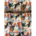French Terry Sommersweat Hunde Katzen Stoff Welpen Kätzchen Bunt - 150 cm Überbreite – 240g/m²