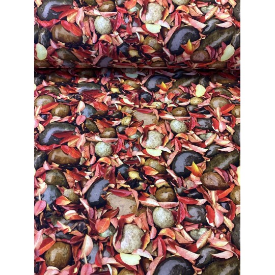 French Terry Sommersweat Herbst Stoff Blätter Steine Naturmotiv Rot Braun - 180 cm Überbreite – 240g/m²