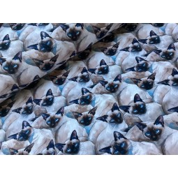 French Terry Sommersweat Siamkatzen Stoff Katzen Blau Beige - 180 cm Überbreite – 240g/m²