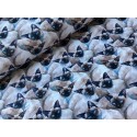 French Terry Sommersweat Siamkatzen Stoff Katzen Blau Beige - 180 cm Überbreite – 240g/m²