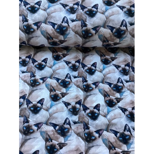 French Terry Sommersweat Siamkatzen Stoff Katzen Blau Beige - 180 cm Überbreite – 240g/m²