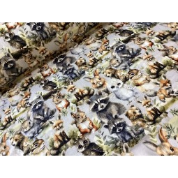 French Terry Sommersweat Waldtiere – Fuchs Waschbär Hase Eule Eichhörnchen - 180 cm Überbreite – 240g/m²