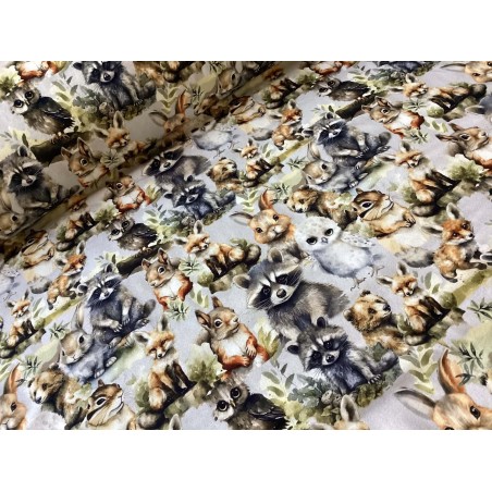 French Terry Sommersweat Waldtiere – Fuchs Waschbär Hase Eule Eichhörnchen - 180 cm Überbreite – 240g/m²