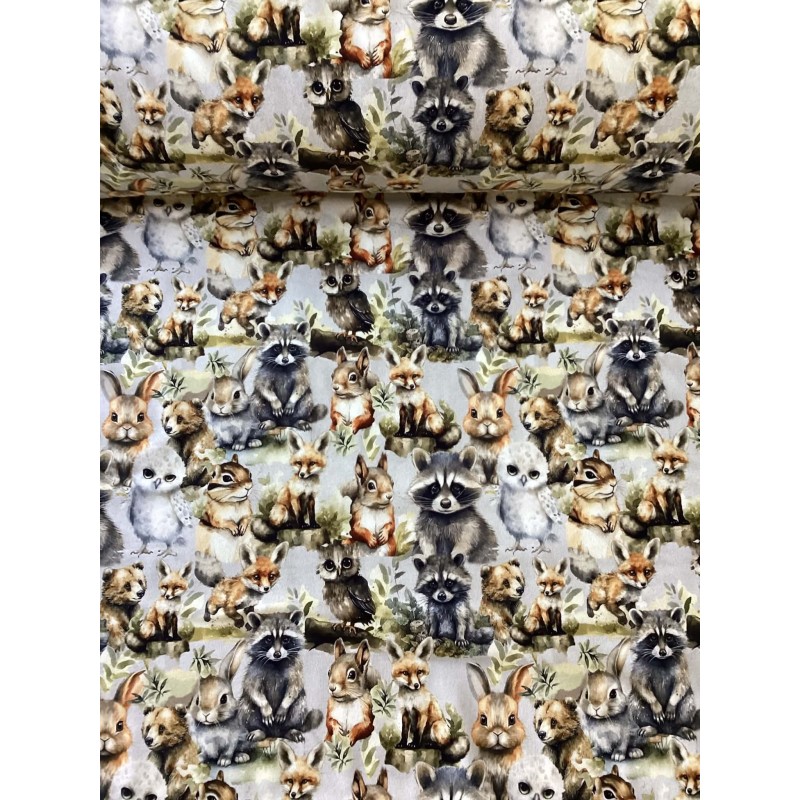 French Terry Sommersweat Waldtiere – Fuchs Waschbär Hase Eule Eichhörnchen - 180 cm  – 240g/m²