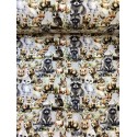 French Terry Sommersweat Waldtiere – Fuchs Waschbär Hase Eule Eichhörnchen - 180 cm  – 240g/m²