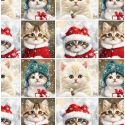 Weihnachten French Terry Sommersweat Katzen Kätzchen Schneeflocken Mützen Rot Türkis – 240 g/m² – 145 cm – Eigenproduktion