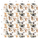 50 cm Oxford wasserfester Stoff Katzen Bücher Brille Weiß Beige –210 g/m –150 cm Meterware